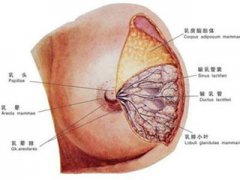 乳房肿块出现的原因